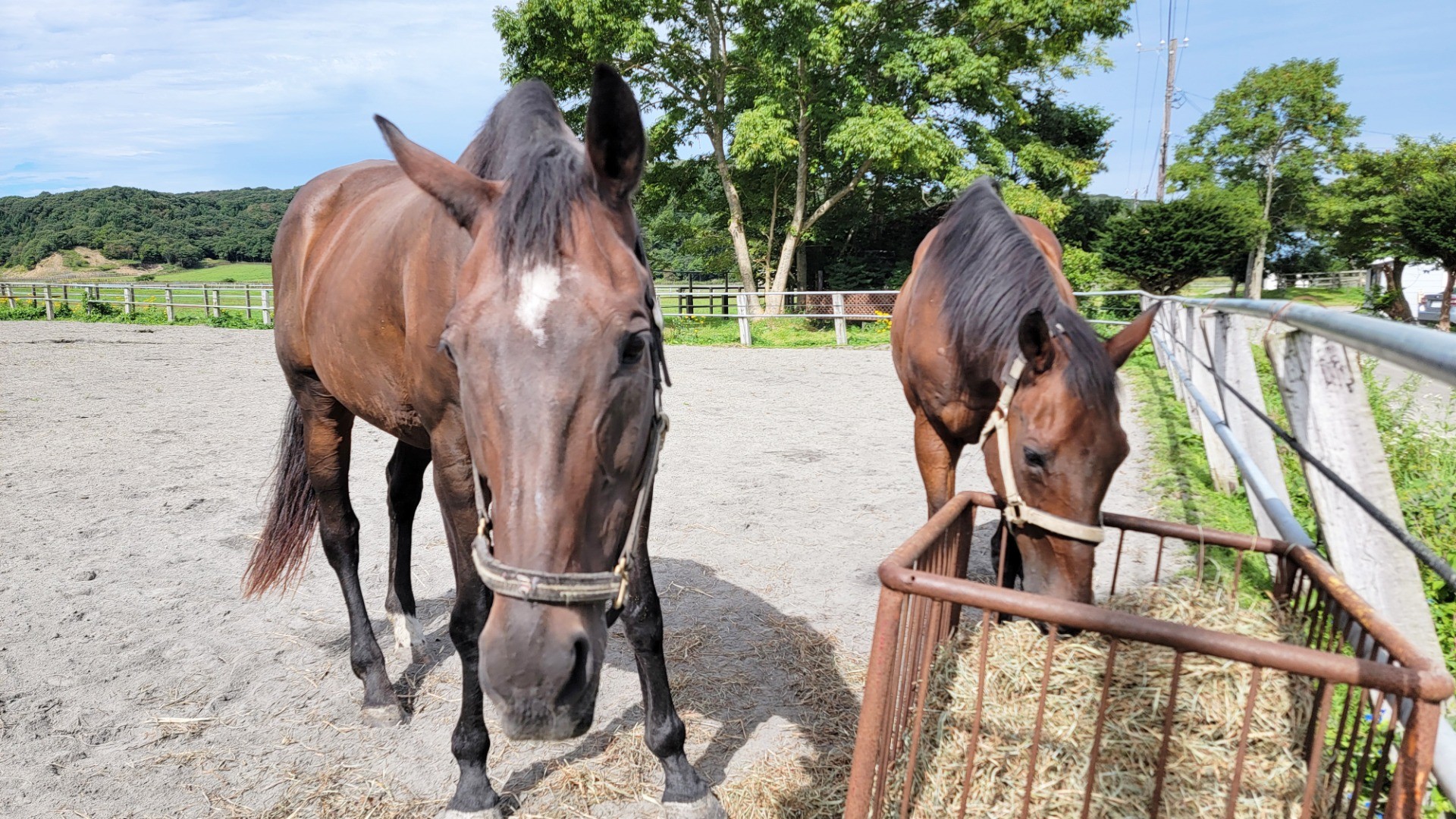 8dc06a00c12244039ab72e39bb6a5925-1760934045.jpg 8dc06a00c12244039ab72e39bb6a5925-1760934045.jpg